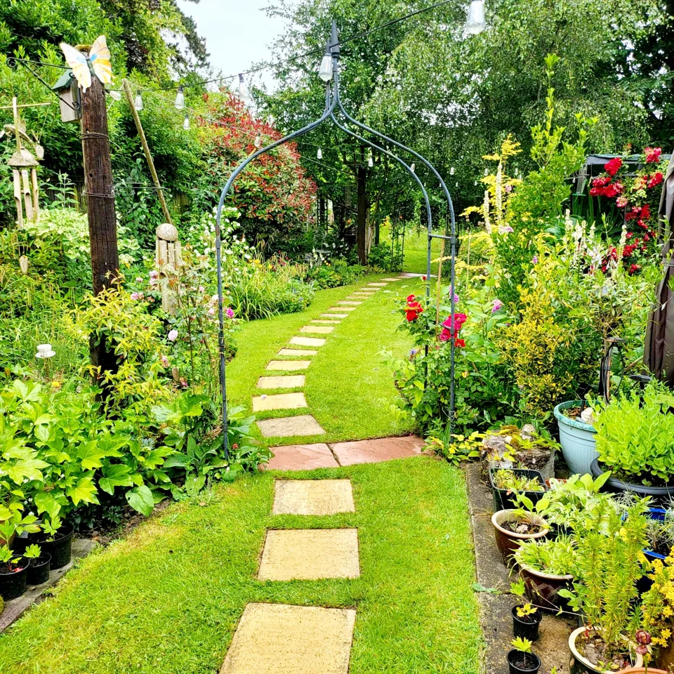 Stepping-stone path through my garden beneath a planted arch